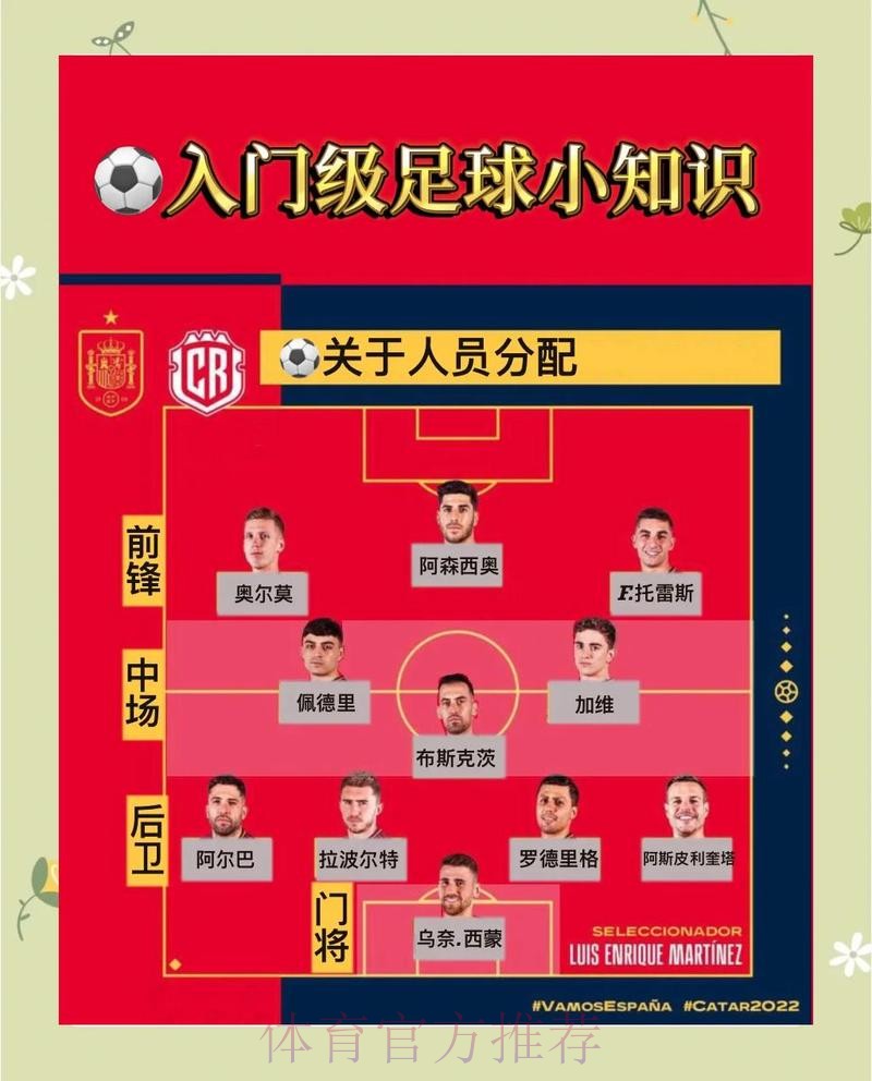深入解析：世界杯预测教程最佳策略与技巧